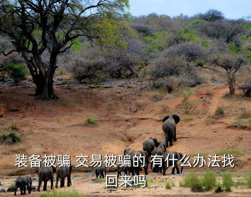 装备被骗 交易被骗的 有什么办法找回来吗