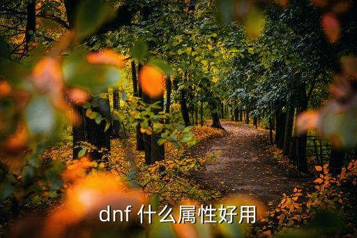 dnf决斗场什么属性厉害，DNF中什么属性的攻击最厉害