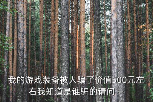 我的游戏装备被人骗了价值500元左右我知道是谁骗的请问一