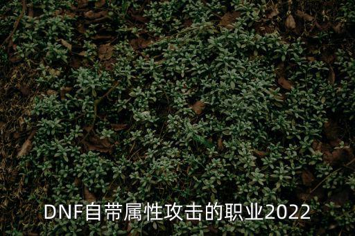 dnf奶萝要什么属性，dnf奶萝能给队友加什么