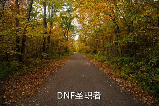 DNF圣职者