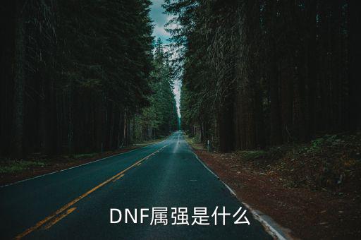 DNF属强是什么