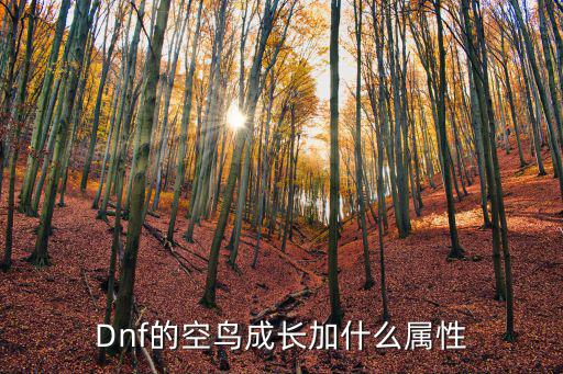 dnf鸟背什么属性攻击，dnf弄什么属性攻击最好