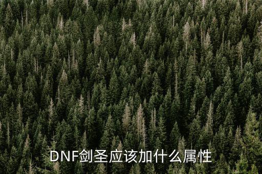 DNF剑圣应该加什么属性