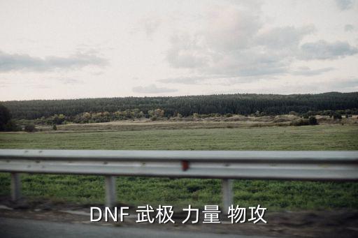 dnf武极什么属性攻击，dnf武极是加物理攻击吗