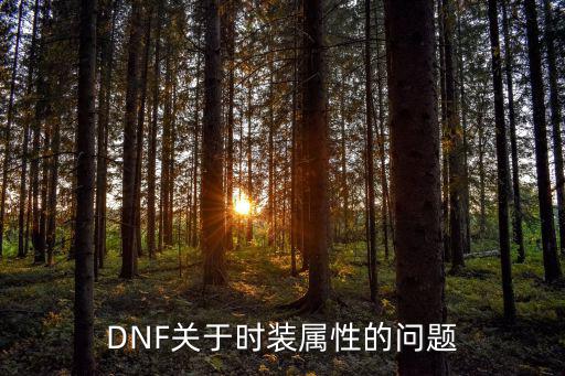 dnf什么是时装隐藏属性，dnf什么套装有隐藏属性