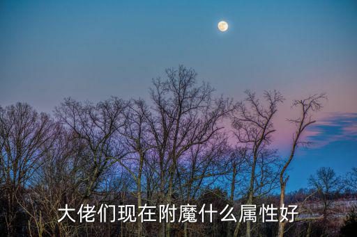 大佬们现在附魔什么属性好