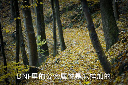 DNF里的公会属性是怎样加的