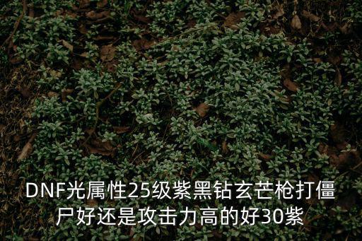 dnf光枪要什么属性好，DNF光属性25级紫黑钻玄芒枪打僵尸好还是攻击力高的好30紫