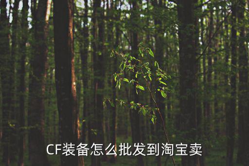 CF装备怎么批发到淘宝卖