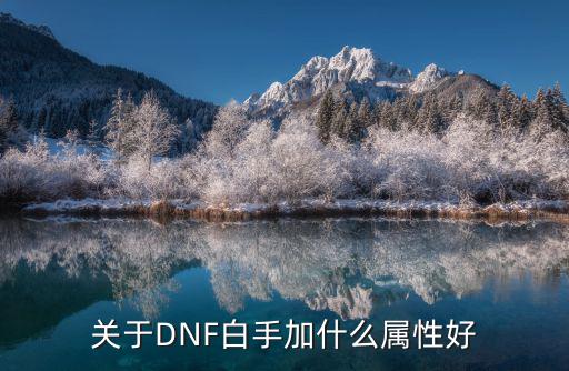 关于DNF白手加什么属性好