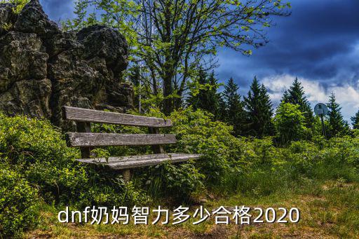 dnf奶妈智力多少合格2020