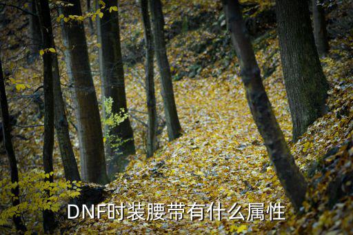 DNF时装腰带有什么属性