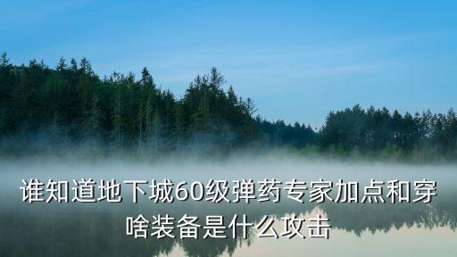 谁知道地下城60级弹药专家加点和穿啥装备是什么攻击