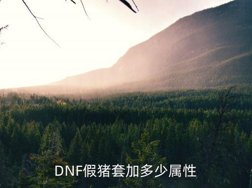 DNF假猪套加多少属性