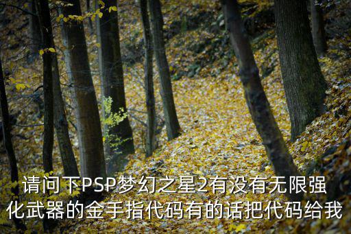 请问下PSP梦幻之星2有没有无限强化武器的金手指代码有的话把代码给我