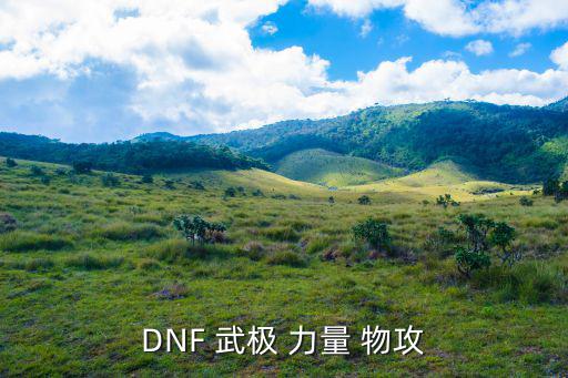 DNF 武极 力量 物攻