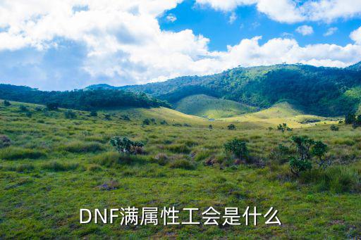 DNF满属性工会是什么