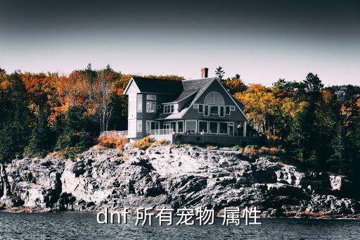 dnf 所有宠物 属性