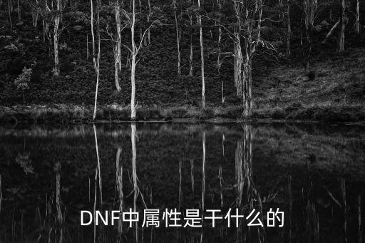 DNF中属性是干什么的