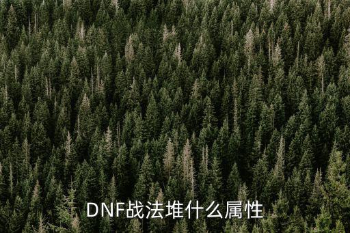 DNF战法堆什么属性