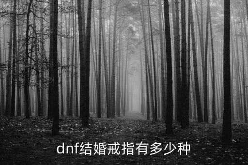 dnf结婚戒指有多少种