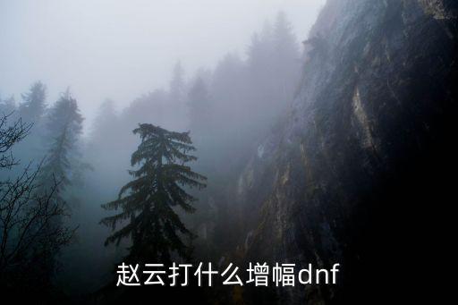 dnf赵云增福什么属性，赵云打什么增幅dnf