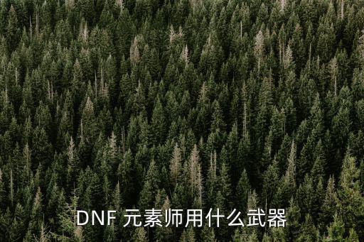 DNF 元素师用什么武器