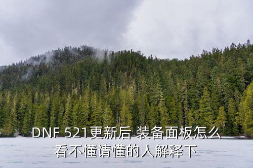 DNF 521更新后 装备面板怎么看不懂请懂的人解释下