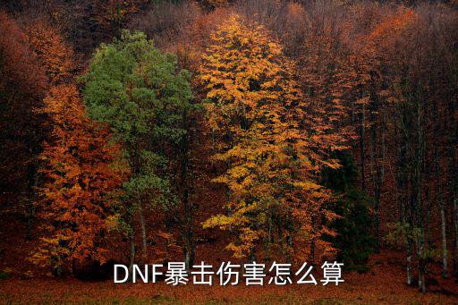 DNF暴击伤害怎么算