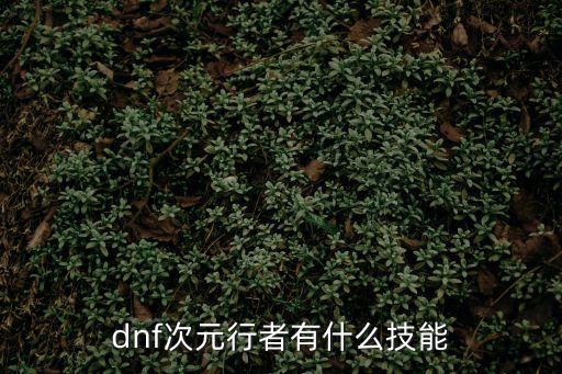 dnf次远行者什么属性，DNF异次远属性