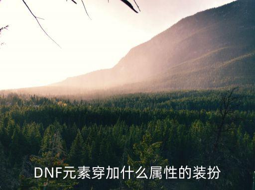 DNF元素穿加什么属性的装扮