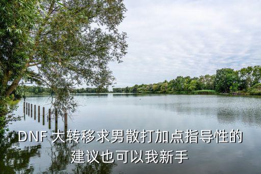 DNF 大转移求男散打加点指导性的建议也可以我新手