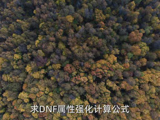 求DNF属性强化计算公式