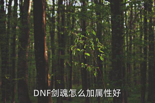 DNF剑魂怎么加属性好