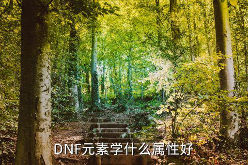 DNF元素学什么属性好