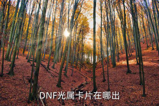 DNF光属卡片在哪出