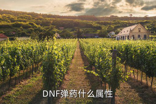 dnf弹药步枪是什么属性，DNF弹药用什么枪加它的属性