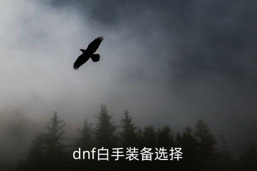 dnf白手装备选择