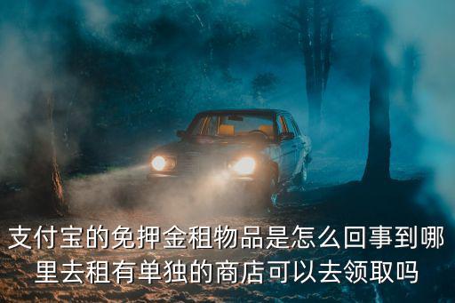 支付宝租游戏装备怎么租的，怎样在支付宝平台给别人租东西比如内啥人人租机什么我也要开个公司