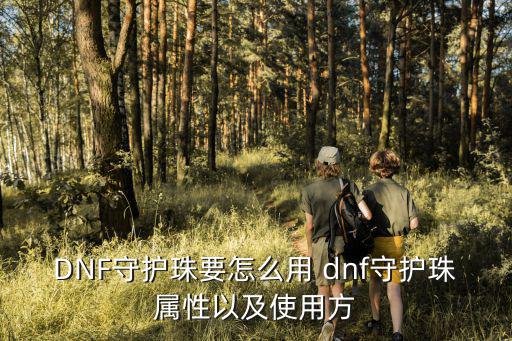 DNF守护珠要怎么用 dnf守护珠属性以及使用方