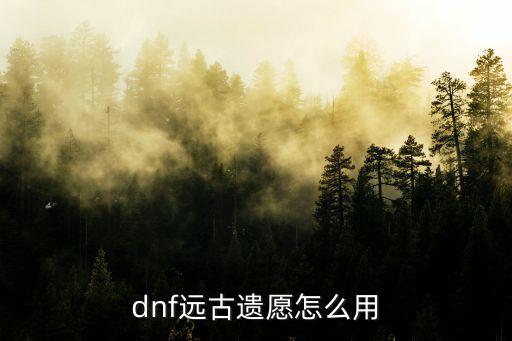 dnf远古遗愿怎么用