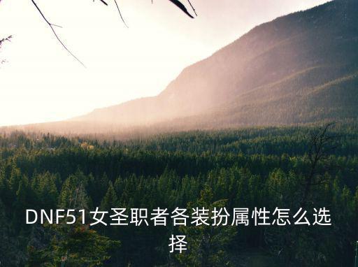 dnf圣职者玩什么属性，dnf圣骑士增幅什么属性