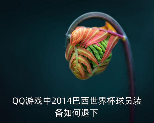 QQ游戏中2014巴西世界杯球员装备如何退下