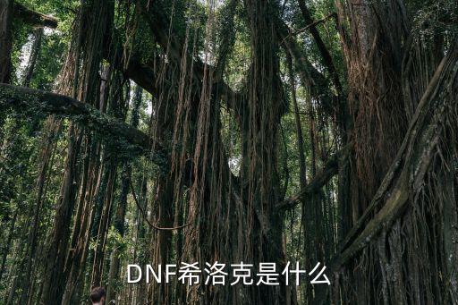 DNF希洛克是什么