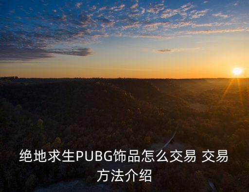 绝地求生PUBG饰品怎么交易 交易方法介绍