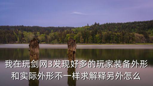 我在玩剑网3发现好多的玩家装备外形和实际外形不一样求解释另外怎么