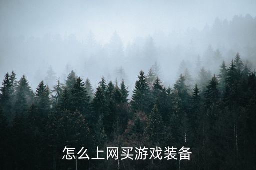 怎么上网买游戏装备