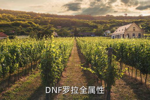 DNF罗拉全属性