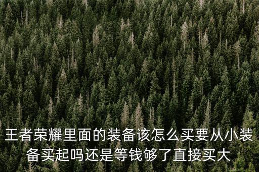 王者荣耀里面的装备该怎么买要从小装备买起吗还是等钱够了直接买大